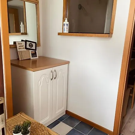 Apartma Pri Olgi Διαμέρισμα