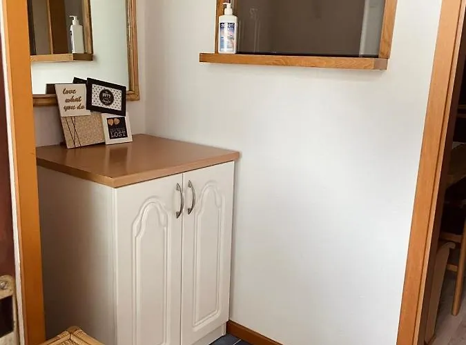 Apartma Pri Olgi דירה